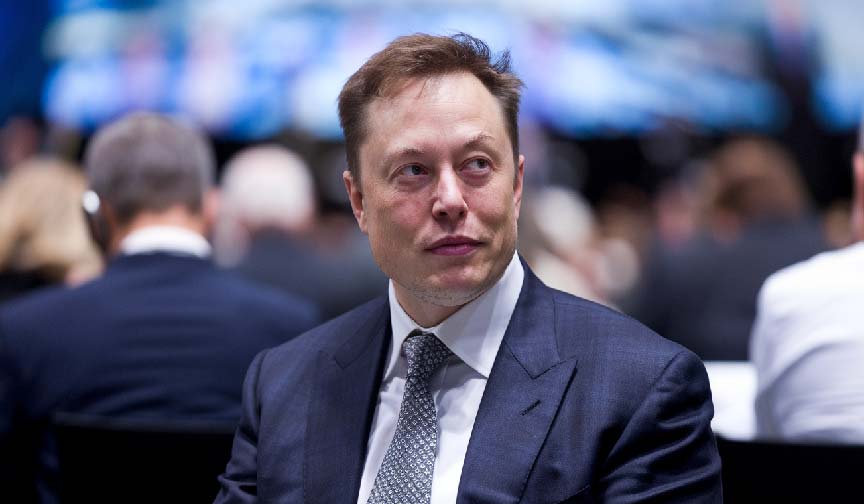 Saxon Musk: Everything You Need to Know Saxon Musk: Everything You Need to Know