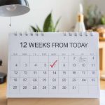 Saxon Musk: Everything You Need to Know 12 Weeks from Today: A Guide to Planning and Achieving Your Goals